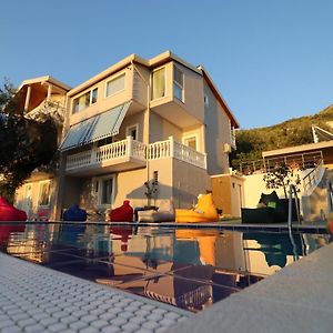 Vila Elarad